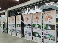 -黑龙江中医药大学附属第一医院