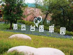 -紫云台香草园