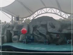 -泉州海丝野生动物世界