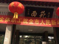 -西苑公园