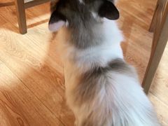 -白兔子密室(长寿路店)