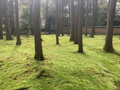 -奈良公园