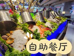 -海吃海喝海鲜烤肉炭火主题自助餐(朝阳店)
