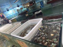 -金龙渔港(双楠店)