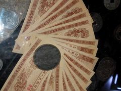 -狐尾山公园