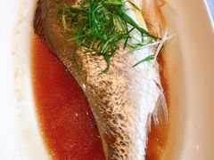 -同庆楼(花园店)