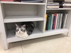 -美联众合动物医院·24h转诊中心
