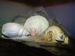 -福州罗源湾海洋世界旅游区