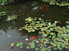 -白马涧龙池景区