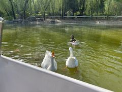 -南宫五洲植物乐园