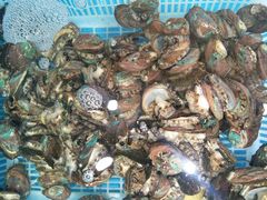 -港畔赶海蒸汽海鲜烧烤自助(仙螺岛店)
