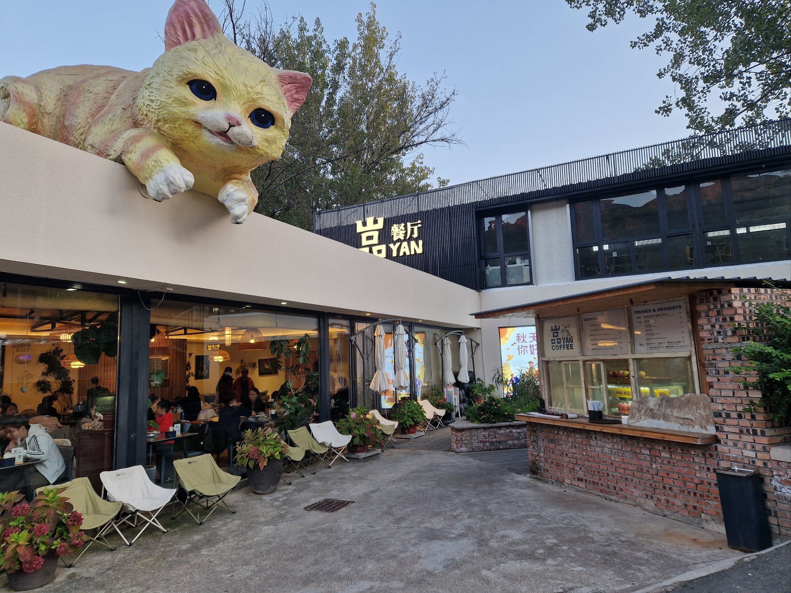外面的大猫远远都看得到,里面的环境也舒适宽敞!