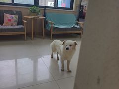 -宠颐生宠物医院·骨外科·犬猫全科诊疗中心(池州店)