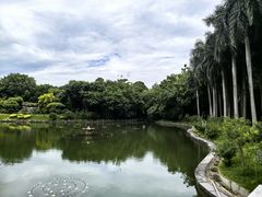 -南宁南湖公园