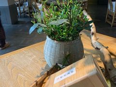 -法云安缦酒店