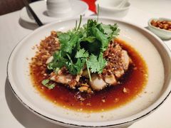 沙姜走地鸡-博多新记·粤菜(复兴店)