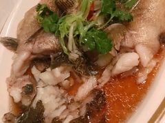 -金轩中餐厅 Jin Xuan(浦东丽思卡尔顿酒店)