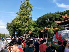 -富乐山