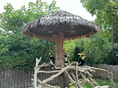 -上海野生动物园