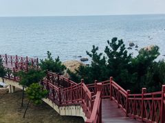 -养马岛旅游度假区