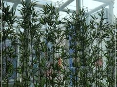 -贵凤凰贵州米粉(五道口店)