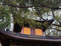 -普陀山风景名胜区-法雨禅寺