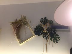 -春树下·树屋花房西餐厅(罍街AS1980店)