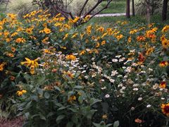 -昆山城市生态森林公园