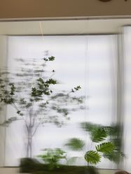 -OAE日式皮肤管理お肌の