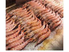 -星伦多自助料理(华润万象城店)
