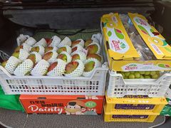 -西郊国际农产品交易中心