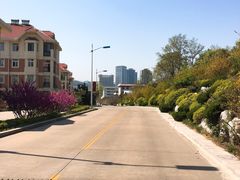 -山东大学(威海校区)