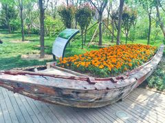 -武清南湖绿博园