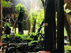 -绿光森林餐厅
