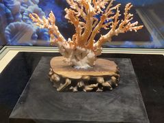 -温州博物馆