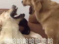 -唛歌KTV(城西银泰店)