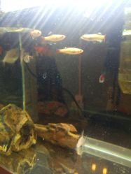 -椿树下·Tattoo纹身工作室