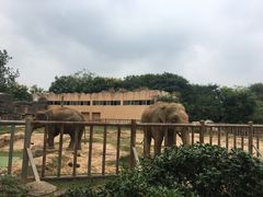 -南昌动物园