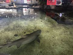 -鸿通城购物中心