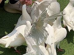 -成都欢乐谷