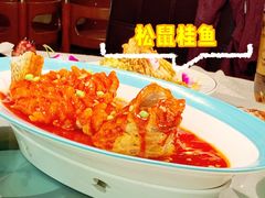 松鼠桂鱼-鑫巴蜀(和平里店)