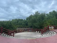 -大亚湾红树林城市湿地公园