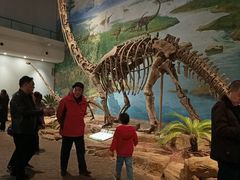 -自贡恐龙博物馆