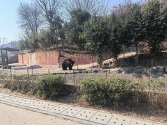 -南京金牛湖风景区