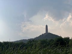 -北坞公园
