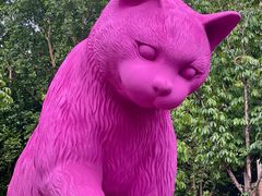 -西安电影制片厂