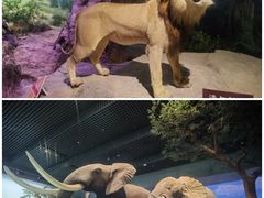-天津自然博物馆