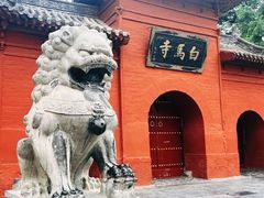 -洛阳白马寺