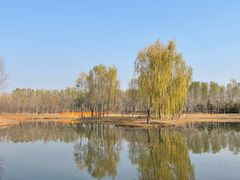 -东郊湿地公园