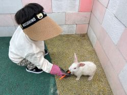 -季高兔窝窝亲子园(上海薰衣草公园店)